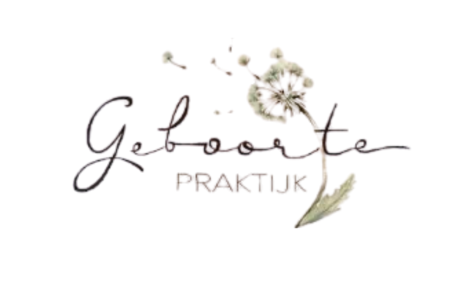 geboortepraktijk